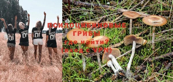 ALPHA-PVP Сосновоборск